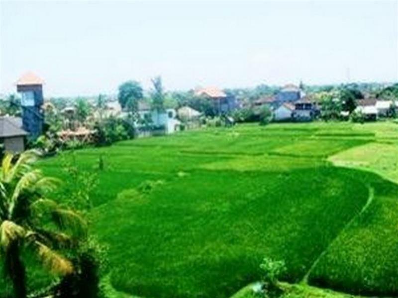 Nuriani Guest House Ubud Zewnętrze zdjęcie